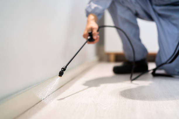 Professional exterminator conducting IPM assessment in Emporium
