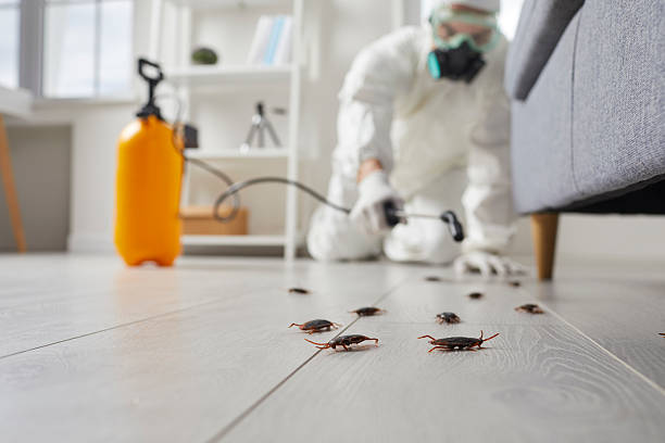 Commercial Kitchen Cockroach Control in Emporium